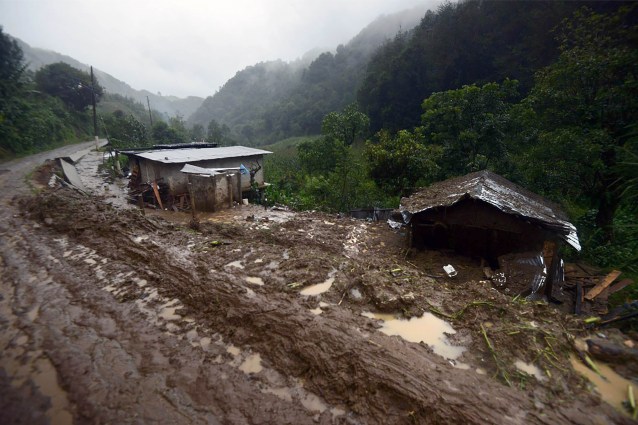 View of the community of Coscomatepec, Veracruz in eastern Mexico on August 6, 2016.  Six people died in the Mexican state of Veracruz after their homes were buried by landslides following heavy rains from Earl, which reached Mexican territory on Thursday as a tropical storm and Saturday was only a remnant low pressure. / AFP PHOTO / EDUARDO MURILLO