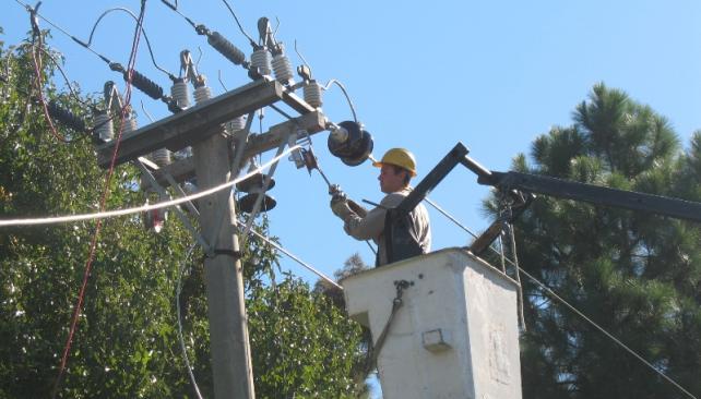 En Colombia también sucede: Un gato deja sin energía a ocho municipios del suroeste colombiano