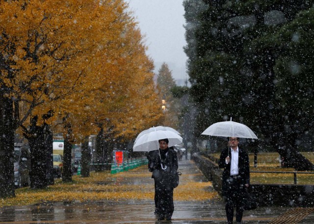 2016-11-24T013133Z_711730497_S1AEUOOYTXAB_RTRMADP_3_JAPAN-WEATHER