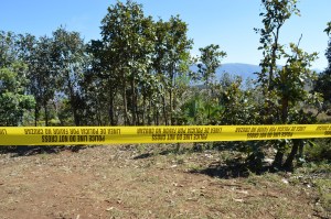 Cinco cuerpos descuartizados fueron hallados en el este de México
