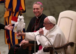 El exótico regalo que recibió el papa Francisco durante la audiencia general de este miércoles