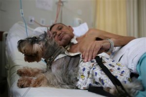Perros ofrecen terapia en hospital de Brasil (Fotos)