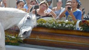 “Sereno”, el caballo que lloró ante el ataúd de su jinete (VDEO)