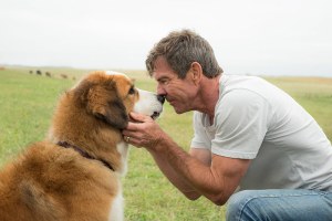 Cancelan estreno de ‘A dog’s purpose’ debido a un polémico video donde se evidencia maltrato animal (Video)