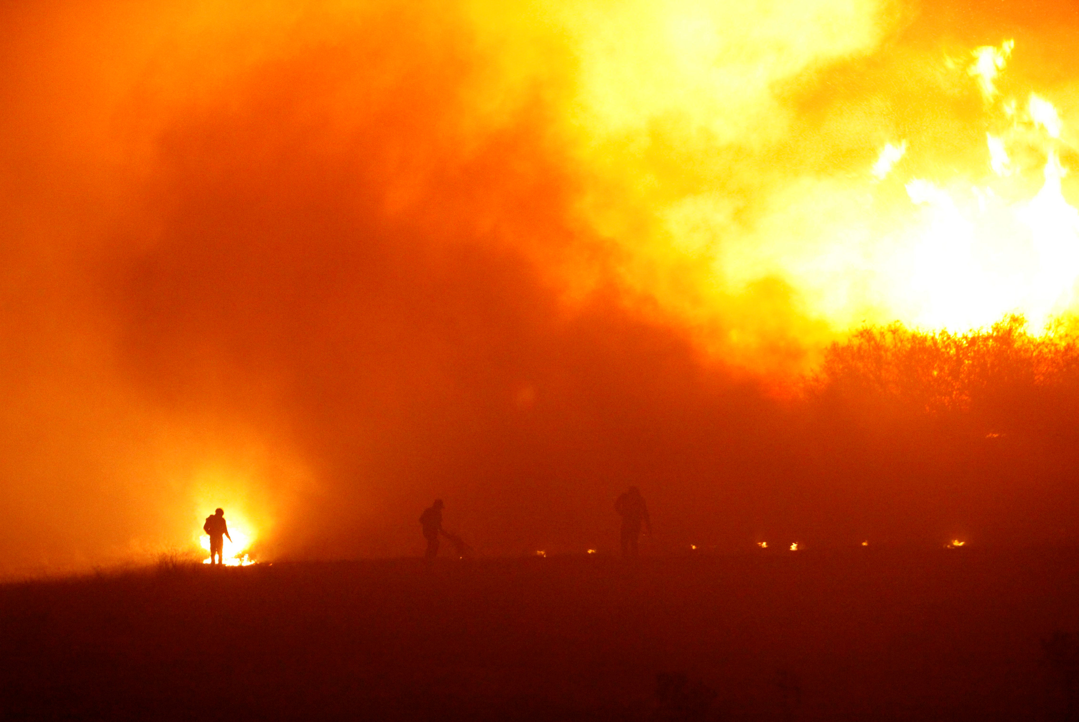 Chile destina recursos económicos y recibe ayuda extranjera para combatir incendios