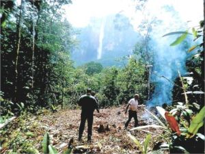 Cámara de Turismo de Bolívar rechaza “prácticas depredadoras” del Arco Minero