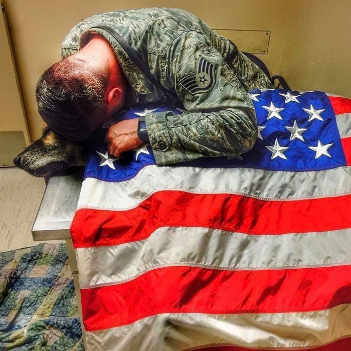 ¡Conmovedor! El último adiós entre un sargento y su perro tras servir en la Fuerza Aérea de EEUU
