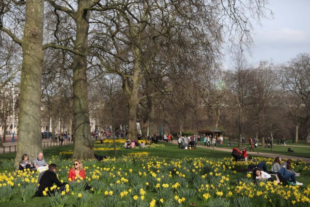 People relax amongst daffodils in St James Park in London, Britain March 11, 2017. REUTERS/Neil Hall
