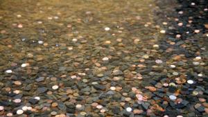 ¿Qué se hace con las monedas que lanzan los turistas en las fuentes?