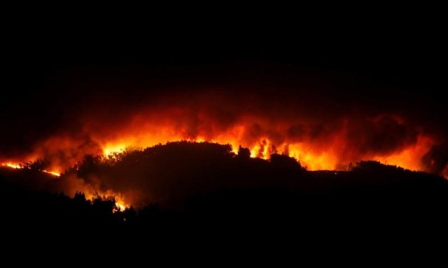 El incendio forestal más letal en la historia de Portugal (Foto: Reuters)