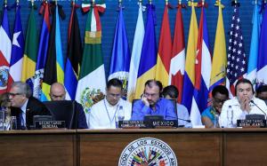 A gritos de “asesinos” y enarbolando el tricolor venezolano, interrumpen sesión de OEA