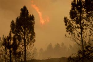 Autoridades declaran extinto incendio de Góis en Portugal
