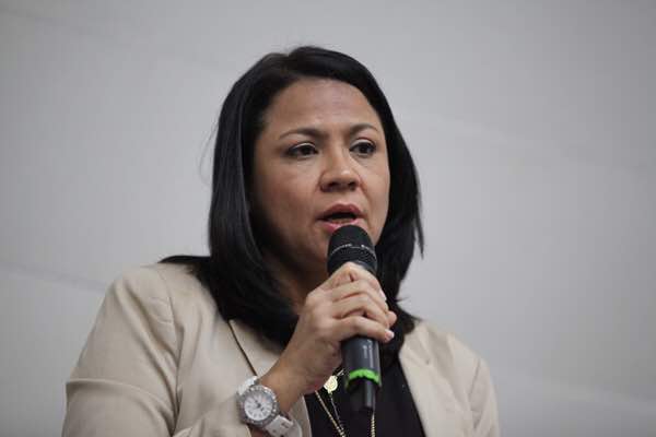 La segunda vicepresidenta de la Asamblea Nacional (AN), diputada Dennis Fernández 