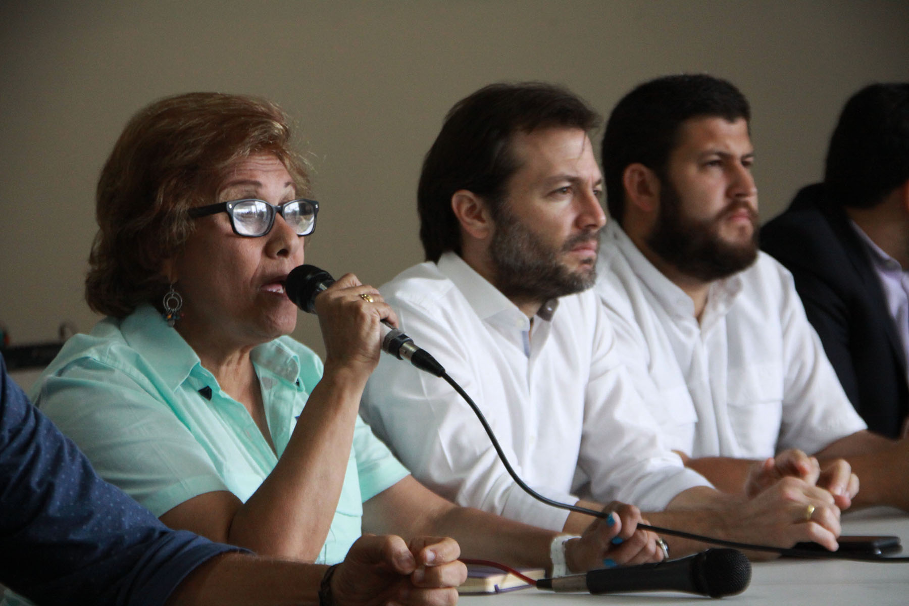 Helen Fernández: El domingo será el día en la que el pueblo librará una gran batalla