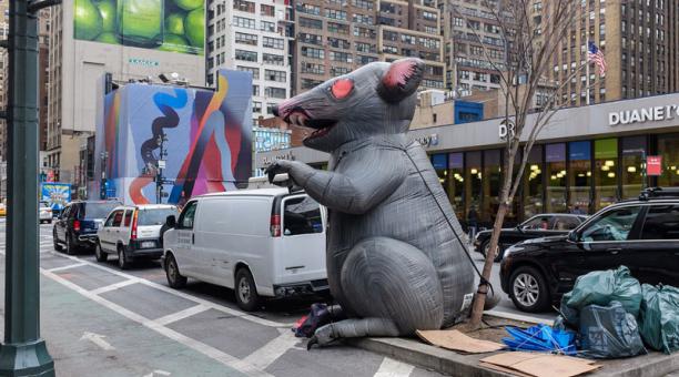 Una rata de goma en Nueva York / Foto: Steven Pisano/Flickr Este contenido ha sido publicado originalmente por Diario EL COMERCIO en la siguiente dirección: http://www.elcomercio.com/actualidad/ratas-plaga-nuevayork-salubridad-animales.html. Si está pensando en hacer uso del mismo, por favor, cite la fuente y haga un enlace hacia la nota original de donde usted ha tomado este contenido. ElComercio.com