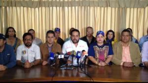 Sergio Vergara: Los venezolanos le dirán tres veces si a la Constitución y a la democracia