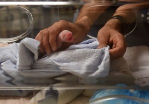 Francia mima a su primer bebé panda