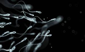 Proteína recién descubierta mejorará la fusión asistida del espermatozoide con el óvulo
