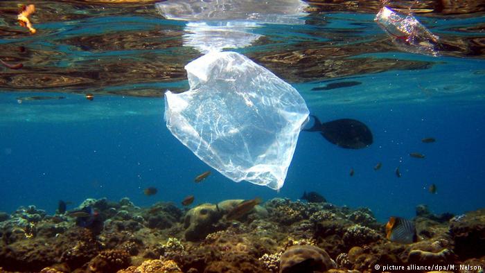 Chile es el primer país americano en prohibir bolsas de plástico en la costa