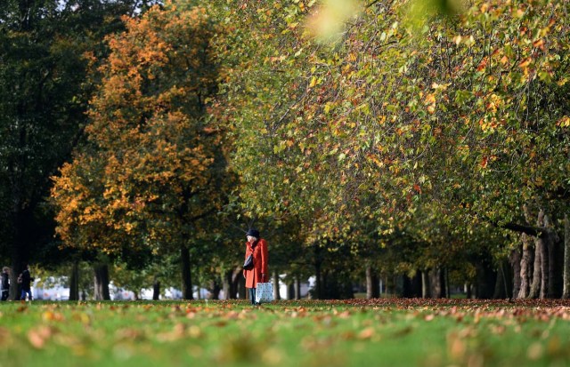 A woman walks past trees displaying autumn colours in Victoria Park, in London, Britain October 21, 2017. REUTERS/Mary Turner