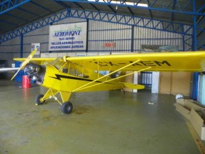 Avioneta se estrella en Uruguay y uno de sus tripulantes se salvó