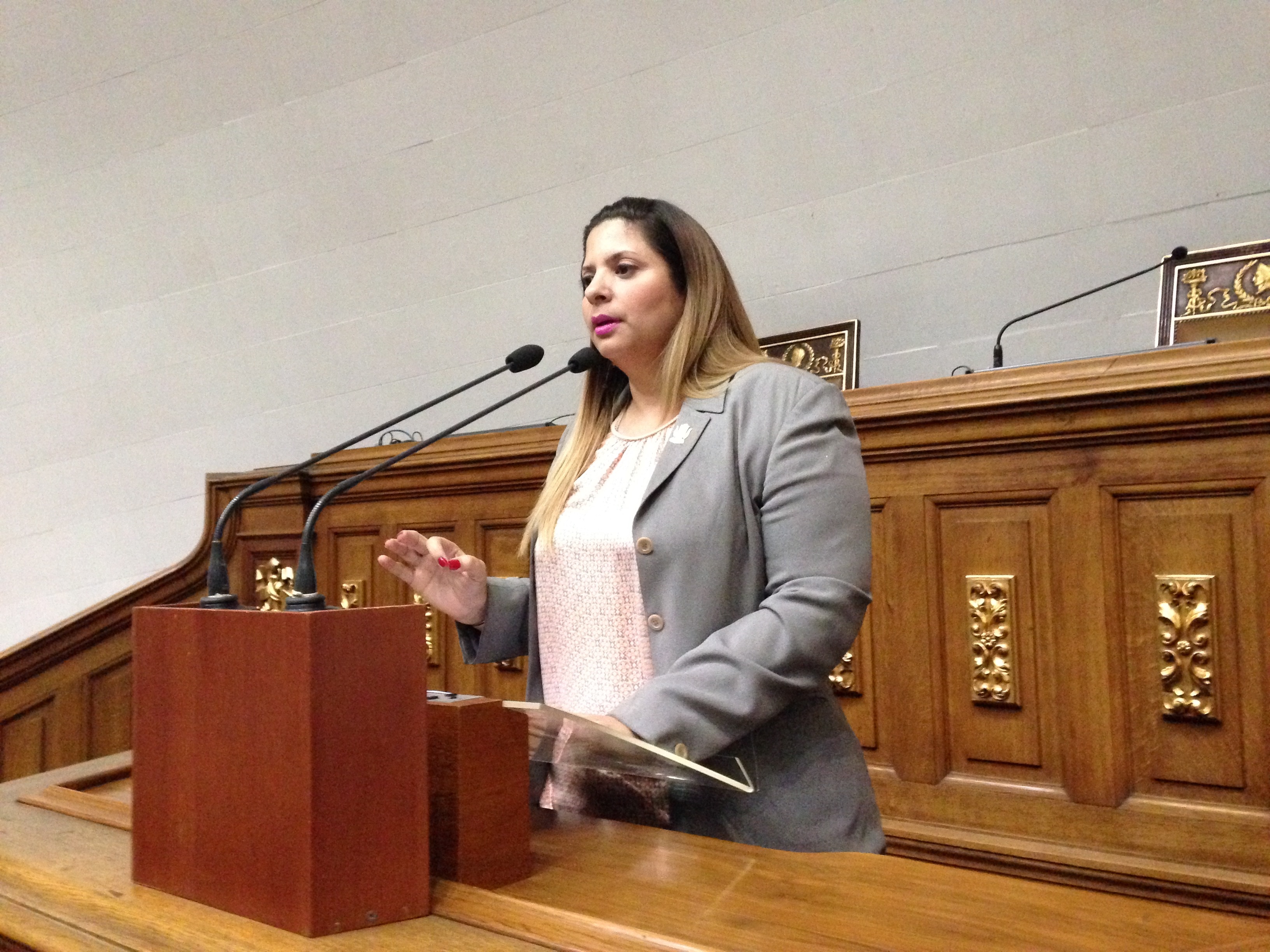 Nora Bracho: Maduro desconoce la Constitución al presentar el presupuesto nacional a la ilegítima ANC