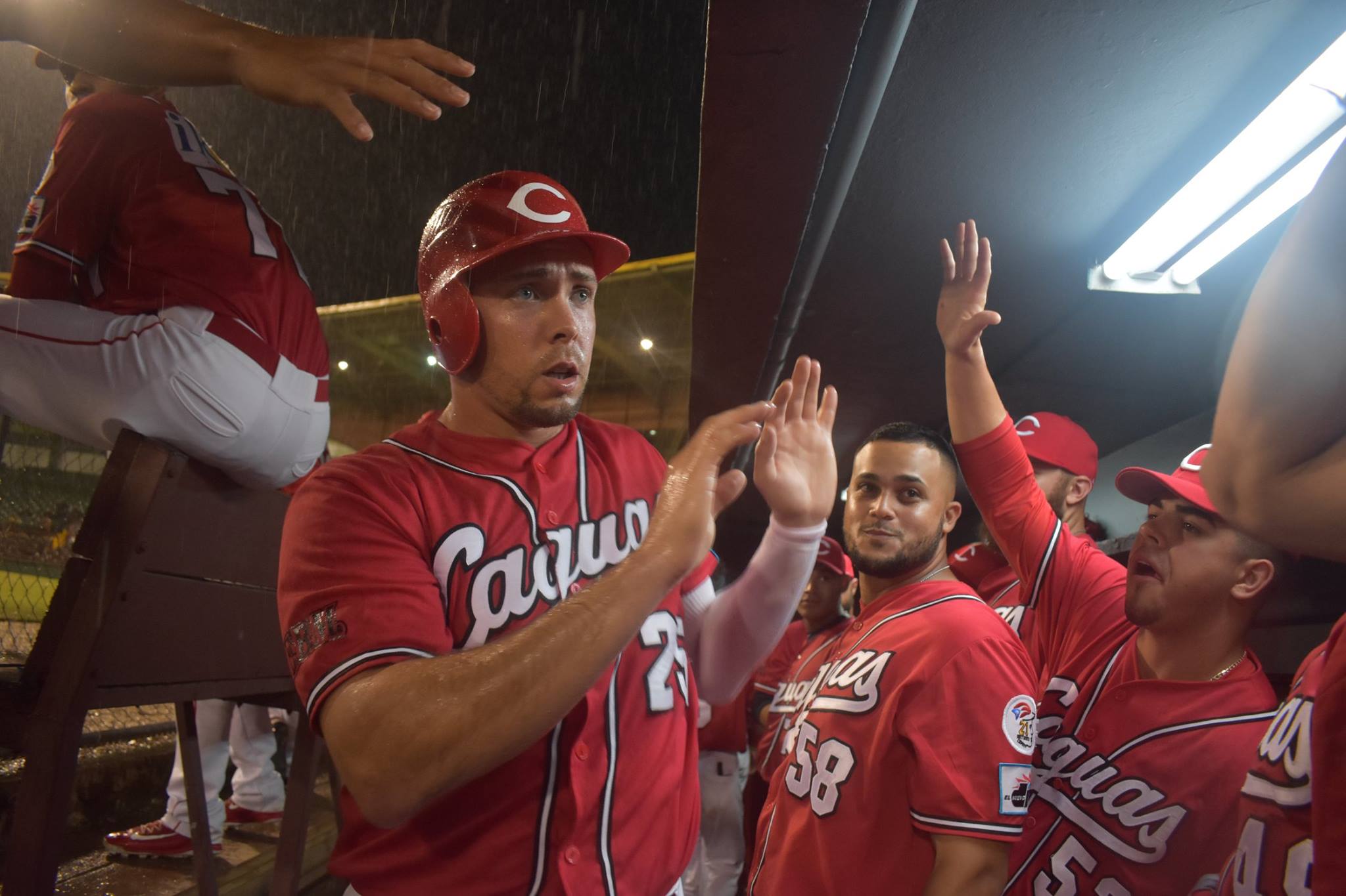 Liga de Béisbol de Puerto Rico arrancará el 6 de enero y con solo cuatro equipos