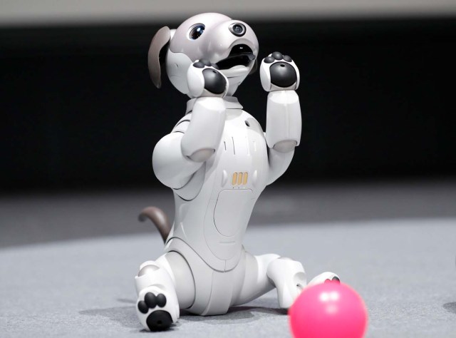 Sony Corp's entertainment robot "aibo" is pictured at its demonstration in Tokyo, Japan November 1, 2017. REUTERS/Kim Kyung-Hoon