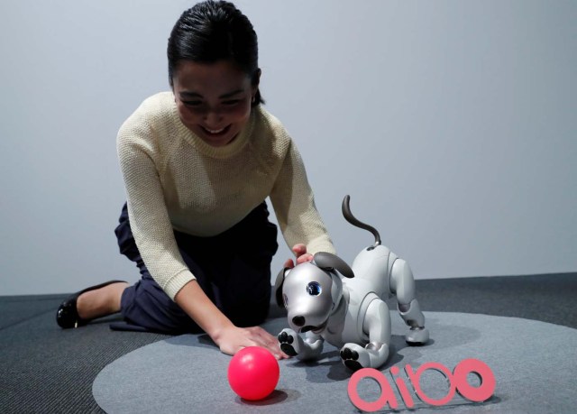 A staff member touches Sony Corp's entertainment robot "aibo" at its demonstration in Tokyo, Japan November 1, 2017. REUTERS/Kim Kyung-Hoon