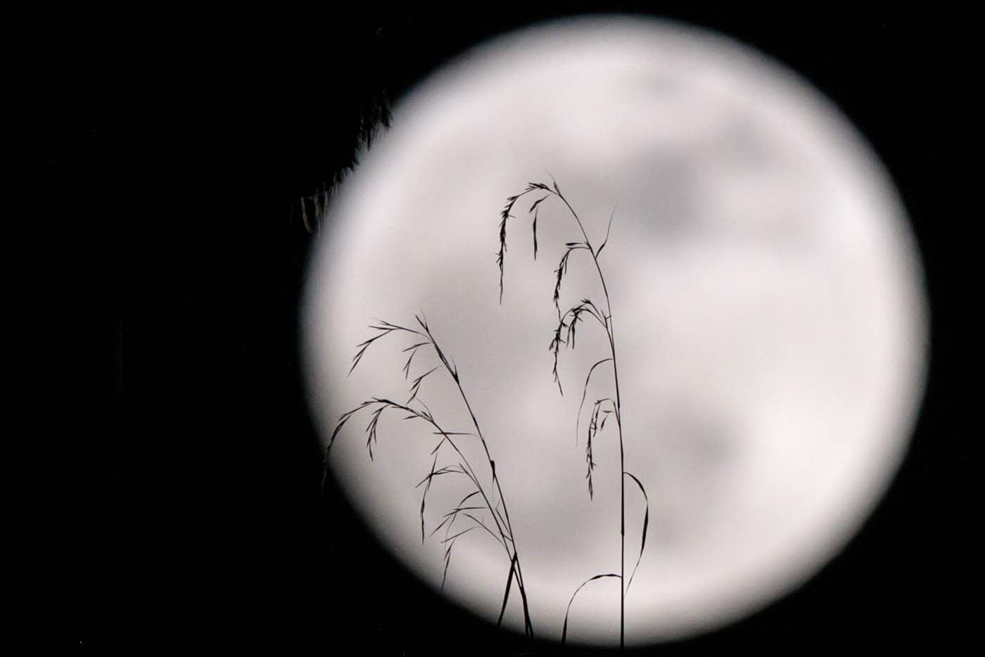 Inusual espectáculo celestial presentará una superluna azul y un eclipse