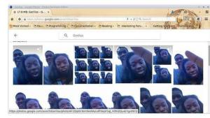 Google Photos soluciona su algoritmo “racista” eliminando de su base de datos a gorilas y monos