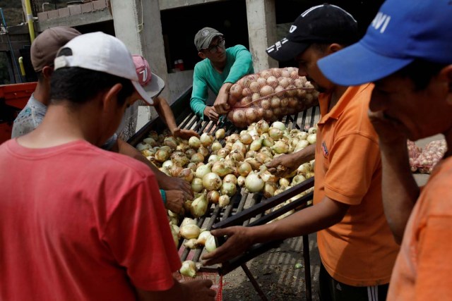 Workers clean and select onions before loading them into a truck to transport and sell them in El Tigre, at the garage used to load Yone Escalante's trucks in La Grita, Venezuela January 29, 2018. REUTERS/Carlos Garcia Rawlins SEARCH "LAWLESS ROADS" FOR THIS STORY. SEARCH "WIDER IMAGE" FOR ALL STORIES.?