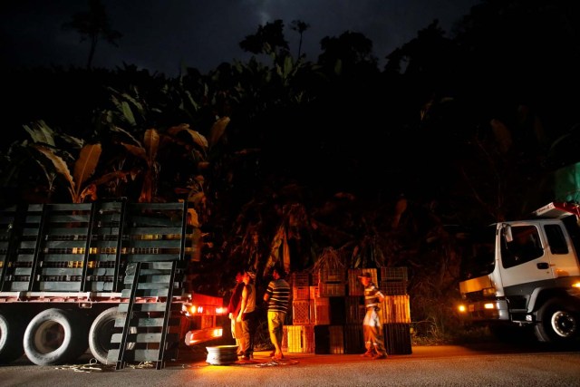 Humberto Aguilar observa mientras trabajadores cargan canastas de plástico llenas de plátano en un camión durante una parada en el camino para recoger mercancía cerca de Seboruco, Venezuela, el 29 de enero de 2018. REUTERS / Carlos Garcia Rawlins