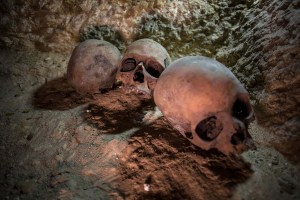 Descubren un cementerio de sacerdotes del siglo IV a.C. en el valle del Nilo (Fotos)