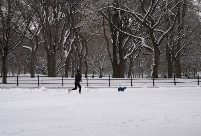 A jogger and a dog run through snow in Central Park in New York  March 21, 2018  as  the fourth nor'easter in a month hits the tri-state area on the first full day of spring. Winter Storm Toby, is throwing a fresh blanket of snow just as spring begins. The storm caused heavy damaged in the south with hail, high winds and tornadoes. / AFP PHOTO / TIMOTHY A. CLARY