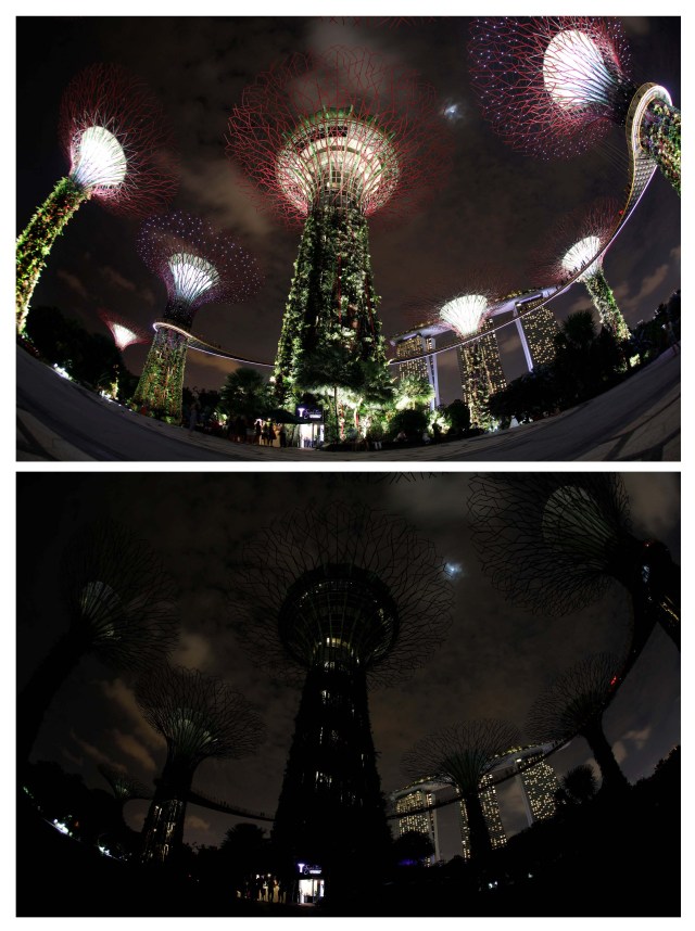 A combination photo shows giant concrete tree-like structures called 'Supertrees' before (top) and after the lights are dimmed to mark Earth Hour, at the Gardens by the Bay in Singapore March 24, 2018. REUTERS/Edgar Su