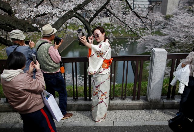 A kimono-clad woman takes selfie photo at the Chidorigafuchi moat, as visitors enjoy fully bloomed cherry blossoms, during spring season in Tokyo, Japan March 26, 2018. REUTERS/Issei Kato