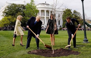 El árbol que sembraron Trump y Macron no está en el jardín de la Casa Blanca