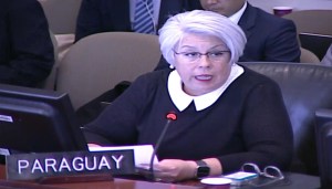 Embajadora de Paraguay en la OEA: Desde 2016 han llegado al país 4.738 venezolanos