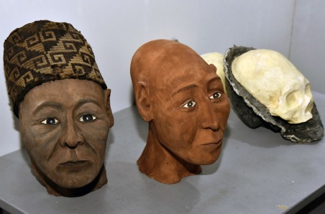 Vista de dos de cada tres reconstrucciones faciales de cráneos humanos de la cultura Tiwanacu, en la que el antropólogo forense boliviano Luis Castedo ha estado trabajando, en La Paz el 18 de mayo de 2018. Los cráneos de 1.100 años de antigüedad fueron encontrados en el templo de Kalasasaya en el sitio arqueológico de Tiwanakuque. Castedo dice que reconstruirá 10 cráneos más para el final del año.  AIZAR RALDES / AFP