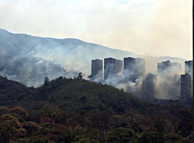 Incendio en el Zoológico de Caricuao. Foto: Twitter