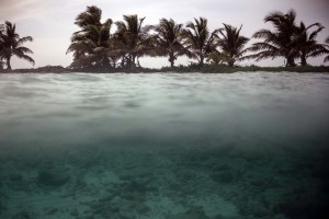 Los arrecifes de Belice, un tesoro de biodiversidad revive en el Caribe (Fotos)