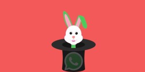Opciones para carga masiva en grupos de Whatsapp