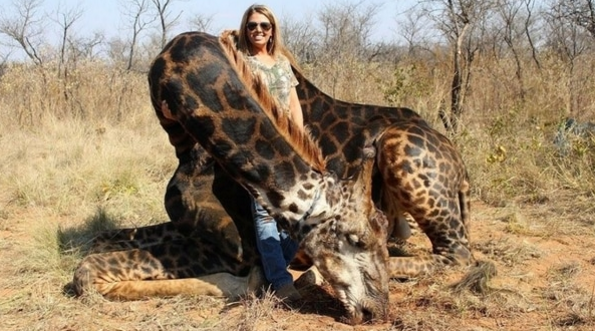 Tess Thompson Talley, la mujer que asesinó a una extraña jirafa negra