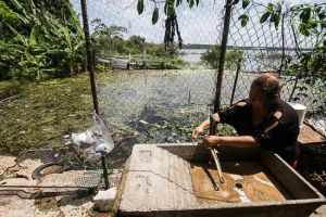 Prevén que afectaciones por lluvias en Bolívar sean iguales o superiores a las de 2017