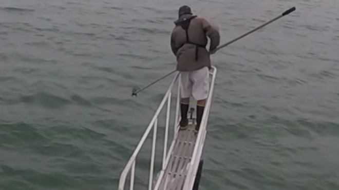 EN VIDEO: Científico se lleva un gran susto cuando estudiaba a los tiburones blancos