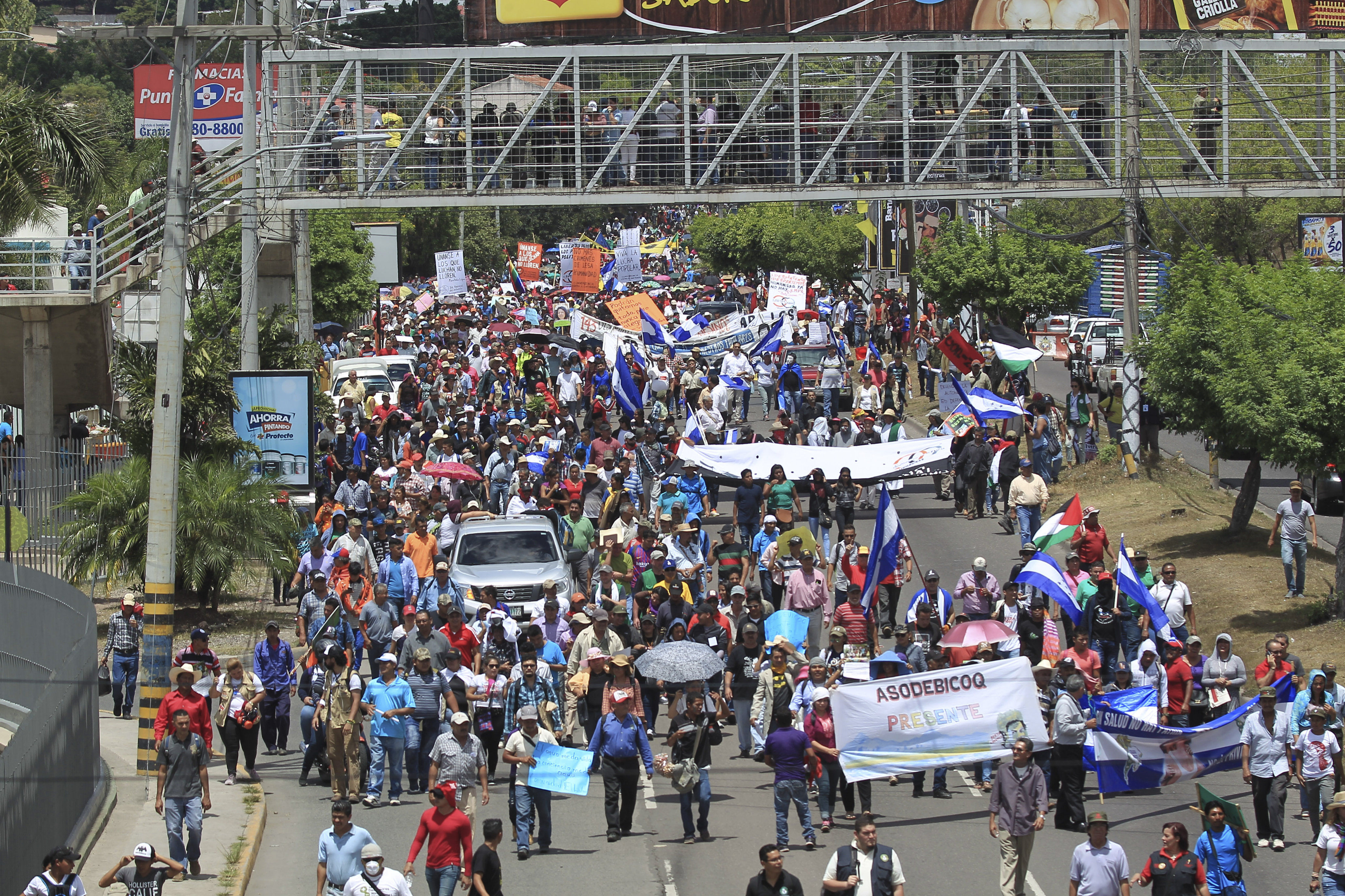 Piden renuncia del presidente hondureño por presunto fraude en elecciones