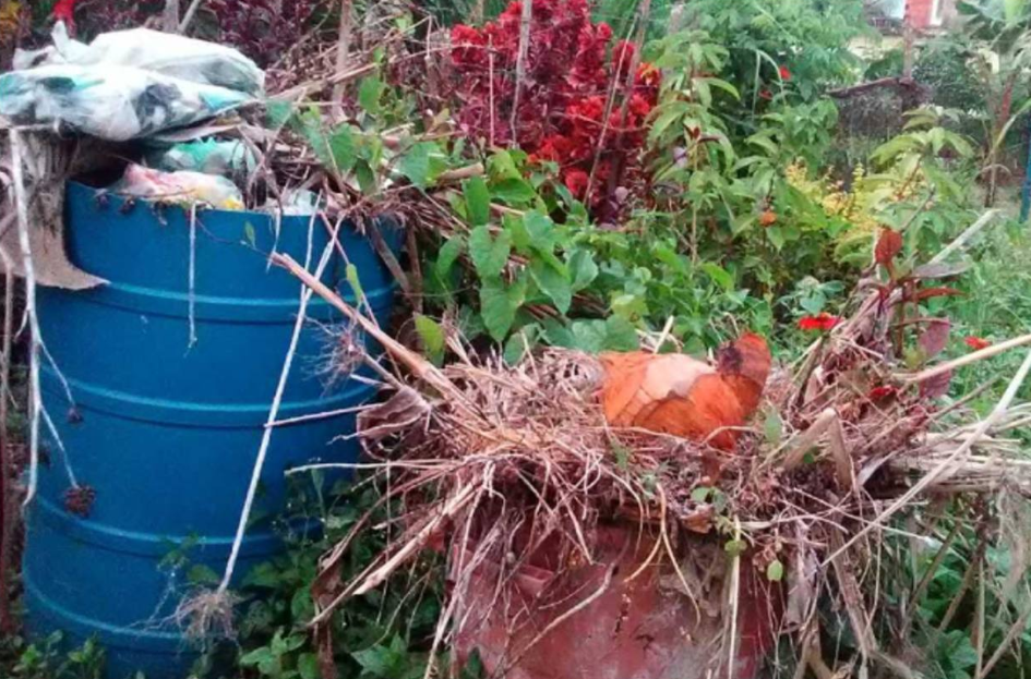 Vecinos del sector Coa en Yaracuy exigen restablecer el servicio de recolección de basura