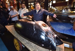 Subastan un atún en 3,1 millones de dólares (fotos)