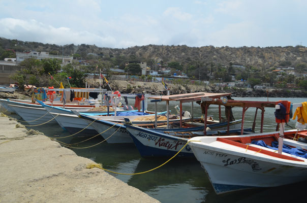 Pescadores de Vargas varados por falta de insumos